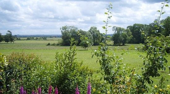 views-from-the-house